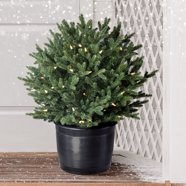 Primrue 24'' Faux Evergreen Tree in Pot Wayfair